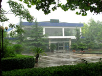 公司內(nèi)綠樹成蔭